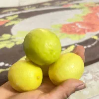 لیمو ترش صادراتی|خوردنی و آشامیدنی|شیراز, شهرک مهدیآباد|دیوار