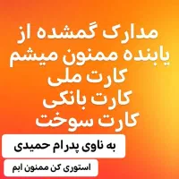 کیف کارت و مدارکم گم شده