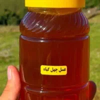 گلبهار|خوردنی و آشامیدنی|گلبهار, شهر جدید گلبهار|دیوار