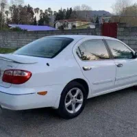 ماکسیما کارمندی تمیز