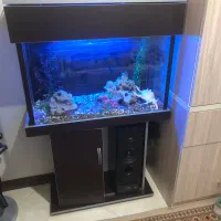 اکواریوم قاب mdf