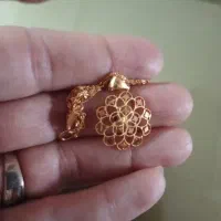 سکه پارسیان زنجیر و پلاک