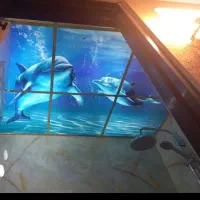 نصاب سقف کاذب تمام نقاط تهران|خدمات پیشه و مهارت|تهران, نعمت‌آباد|دیوار