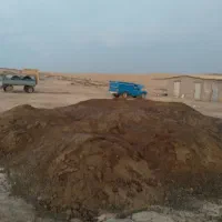 کود گوسفندی و گاوی