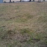 فروش-زمین-پروانه-دار