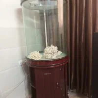 آکواریوم‌
