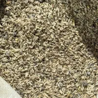 برنج|خوردنی و آشامیدنی|رودسر, |دیوار