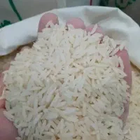 کارخانه برنج صدری ممتاز معطر|خوردنی و آشامیدنی|تهران, قیطریه|دیوار