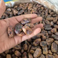 خرما ضایعات فروشی|عمده‌فروشی|مشهد, محمدآباد|دیوار