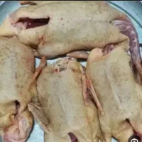 اردک|خوردنی و آشامیدنی|گنبد کاووس, |دیوار