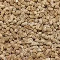 توت خشک
