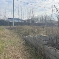 زمین ۲۵۰ متری در زیباکنار (شهرستان)