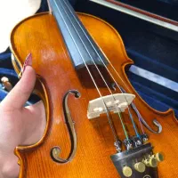 آلات موسیقی|ویولن|قزوین, |دیوار