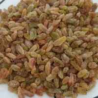 کشمش عسکر اجقاری