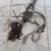 خدمات لوله بازکنی لولهای فاضلاب یاسوج واطراف|خدمات پیشه و مهارت|یاسوج, |دیوار