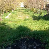 فروش باغ ثمری