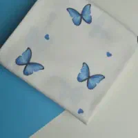دیبا