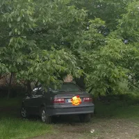 سمند دوگانه کارخانه