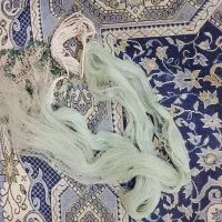 تورماهی گیری