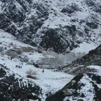 اکانت بازی فروت