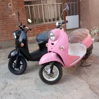 پاکشتی وینو