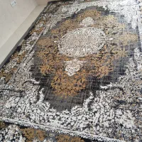 فرش ۹ متری|فرش|مشهد, تربیت (صدف)|دیوار