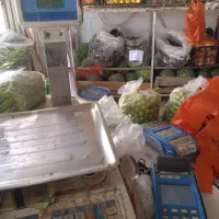 کارگر میوه فروشی