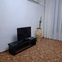 موکت پالاز تمیز و سالم