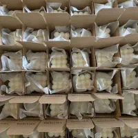 کار در منزل