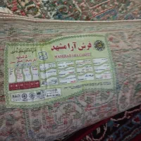 فرش 6 متری نو