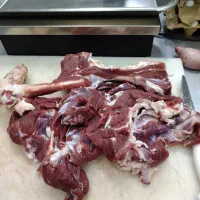 گوشت گوساله. وبره نرینه|خوردنی و آشامیدنی|بجنورد, |دیوار