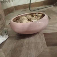 گلدان|گل و گیاه طبیعی|کرج, گلشهر|دیوار