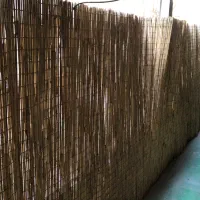 حصیر سنتی کاملا سالم