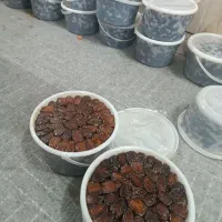 خرما کبکاب و خاصی بهبهان|خوردنی و آشامیدنی|اهواز, شهرک دانشگاه|دیوار