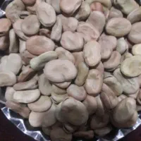 باقلا