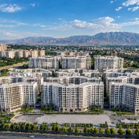 دیوان-سری-یک-رونیکا-پالاس-فروش-فوری