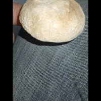 فروش فسیل نادر و زیبا|کلکسیون اشیاء عتیقه|داراب, |دیوار