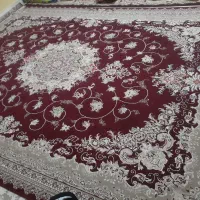 قالی|فرش|زاگرس, |دیوار