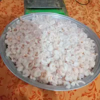 میگو هندیجان