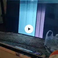 75اینچ دوو|تلویزیون و پروژکتور|سنندج, |دیوار