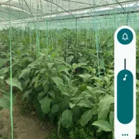 سرکار کلیه خدمات کار و گلخانه