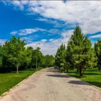 خط تلفن فردیس۶۵۱۵۵۴