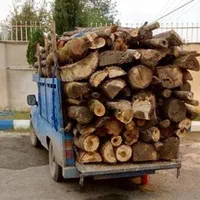 خرید درخت و چوب|خدمات باغبانی و درختکاری|مرند, |دیوار