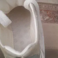 کفش  اسپرت  سایز  ۴۰|کیف، کفش، کمربند|برخوار, |دیوار