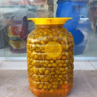 فروش انواع زیتون ، روغن زیتون ، رب انار و عسل طارم|خوردنی و آشامیدنی|تاکستان, |دیوار