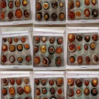 انگشتر و نگین باباقوری و نگین شجر قاین کلکسیونی