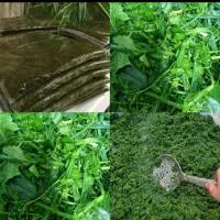 سبزی خورشتی