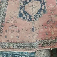 دو عدد قالی دست بافت قدیمی|فرش|رفسنجان, |دیوار