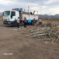 استخدام نگهبان  وکاردرچوبری وتوزین باسکول|استخدام سرایداری و نظافت|الشتر, |دیوار
