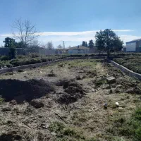 زمین با سند و پروانه|فروش زمین و ملک کلنگی|کومله, |دیوار